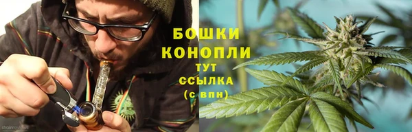 стаф Бородино