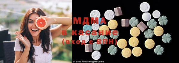 стаф Бородино