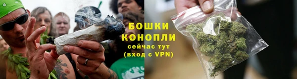 стаф Бородино