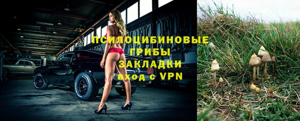 мдпв Бугульма