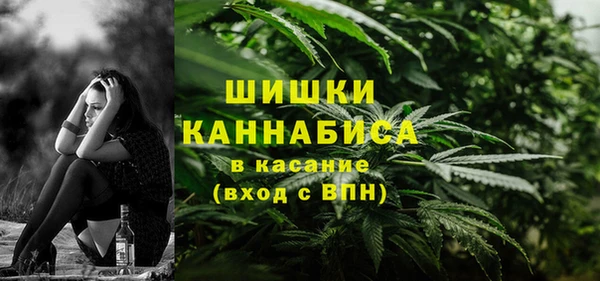 стаф Бородино