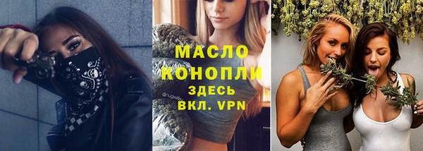 стаф Бородино