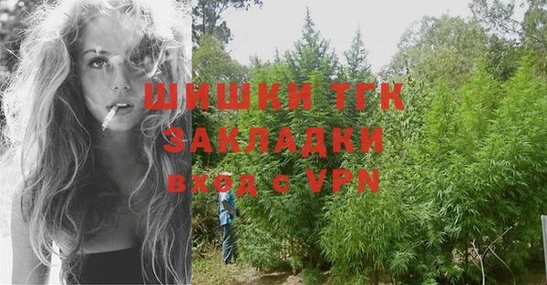 стаф Бородино