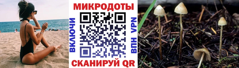 Галлюциногенные грибы ЛСД  Купить где  Гулькевичи 